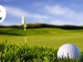 2016 Golf Tournament
